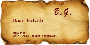 Baur Galamb névjegykártya